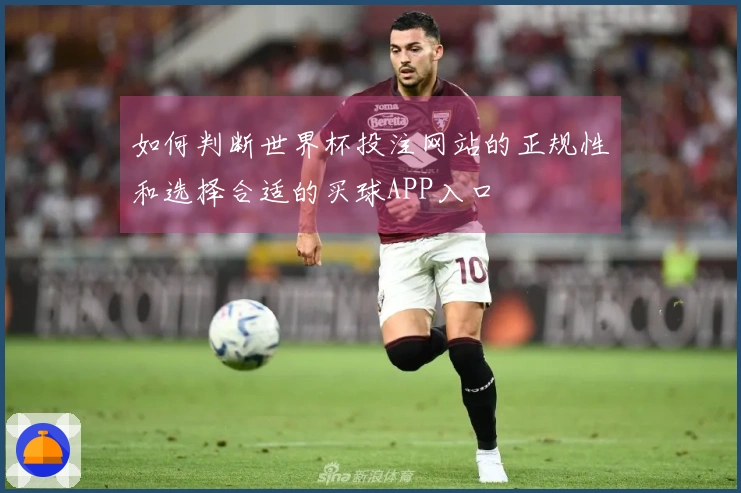 如何判断世界杯投注网站的正规性和选择合适的买球APP入口