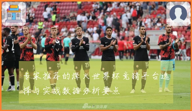 专家推荐的烽火世界杯竞猜平台选择与实战数据分析要点
