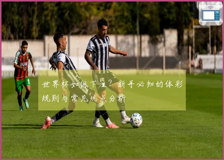 世界杯如何下注?新手必知的体彩规则与常见坑点分析