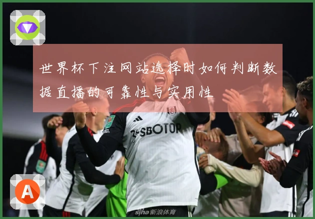 世界杯下注网站选择时如何判断数据直播的可靠性与实用性