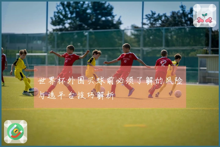 世界杯外围买球前必须了解的风险与选平台技巧解析