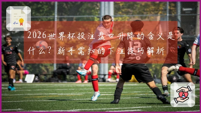 2026世界杯投注盘口升降的含义是什么？新手需知的下注技巧解析