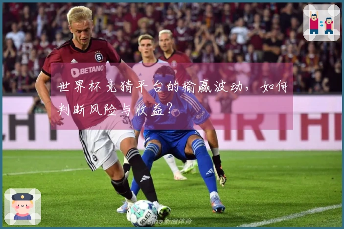 世界杯竞猜平台的输赢波动，如何判断风险与收益？