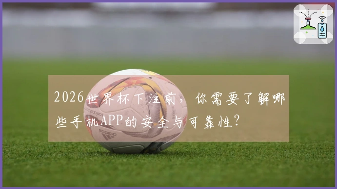 2026世界杯下注前,你需要了解哪些手机APP的安全与可靠性?