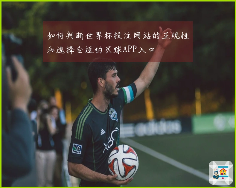 如何判断世界杯投注网站的正规性和选择合适的买球APP入口