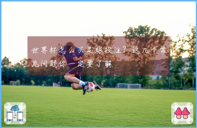 世界杯怎么买足球投注？这几个常见问题你一定要了解