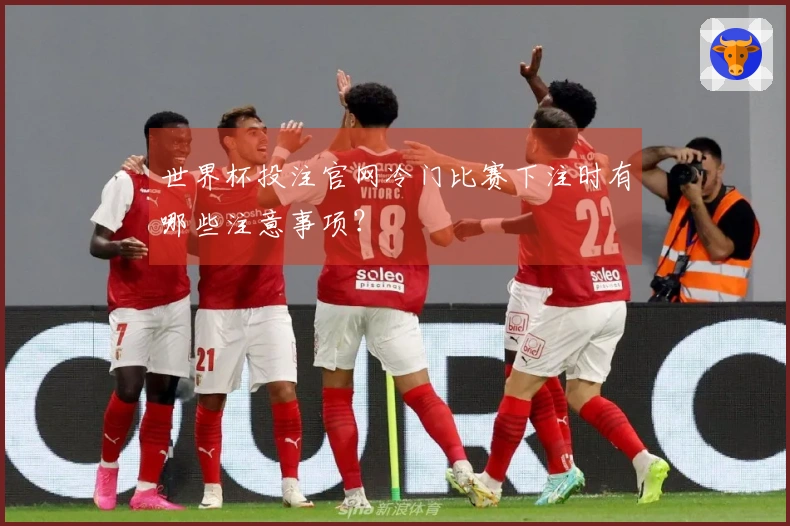 世界杯投注官网冷门比赛下注时有哪些注意事项？