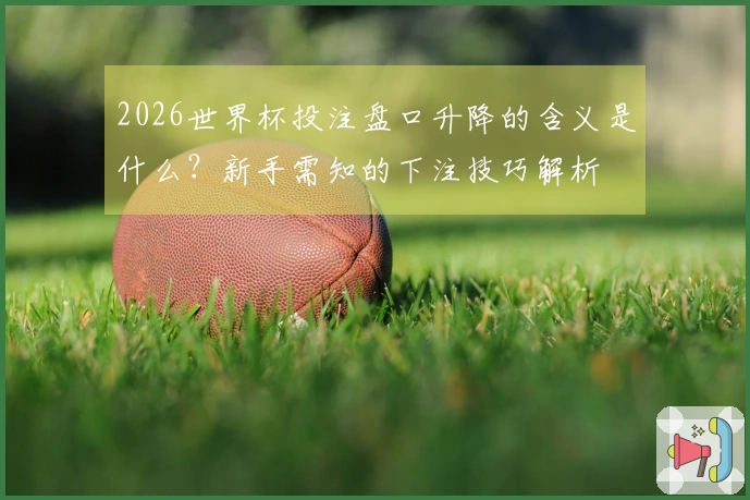 2026世界杯投注盘口升降的含义是什么？新手需知的下注技巧解析