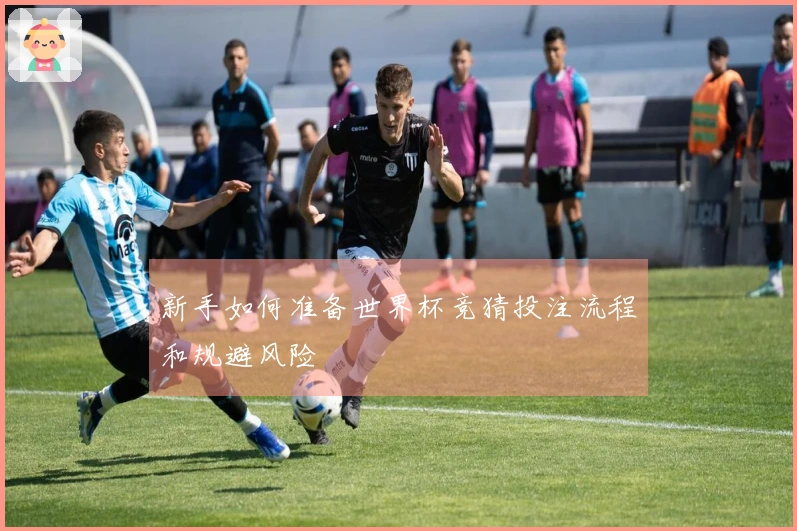新手如何准备世界杯竞猜投注流程和规避风险