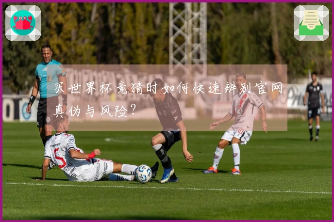 买世界杯竞猜时如何快速辨别官网真伪与风险？